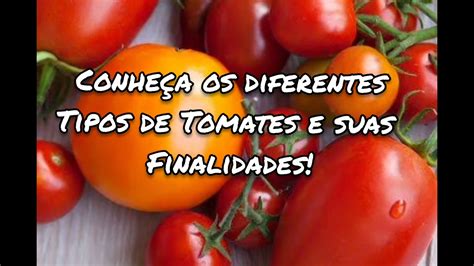 Diferentes Tipos De Tomates E Suas Finalidades Youtube