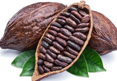 Fresco de Cacao Nicaragüense Receta Tradicional