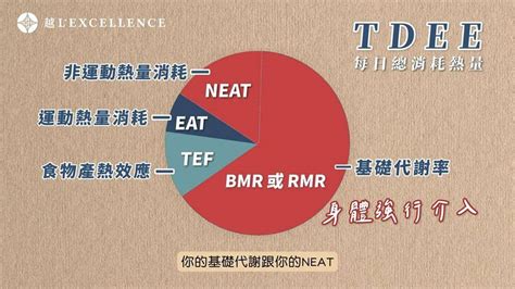 【民視】身體阻止你變瘦？有效避免「減重卡關和復胖」陳君琳醫師曝2大重點 Lexcellence越