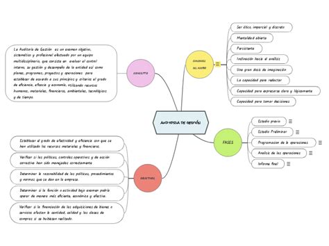 auditoria de gestión Mindmap Voorbeeld