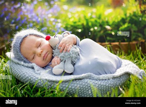 Cute little newborn baby boy, sleeping wrapped in gray wrap, holding ...