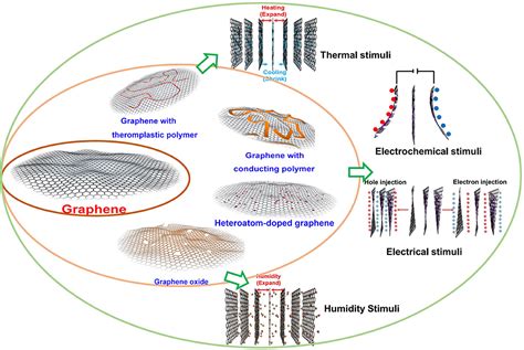 Frontiers Tunable Deformed Graphene Layers For Actuation