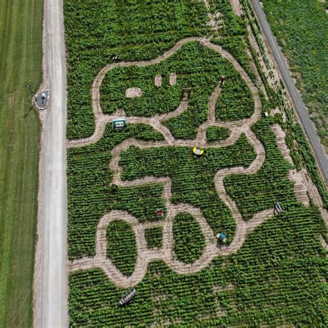 15 Best Corn Mazes to Visit in the U.S. This Fall