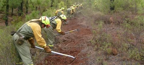 Medios Extinción Forestal Bfuego