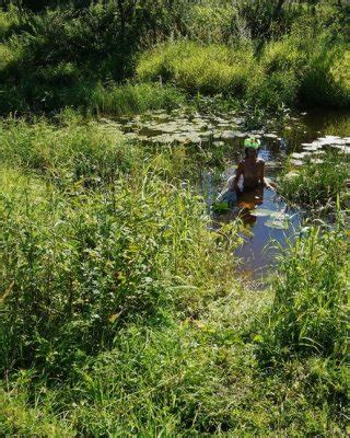 Nude In Lazy River Porn Pictures XXX Photos Sex Images PICTOA