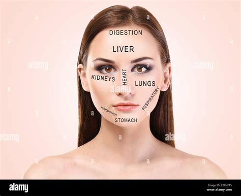 Acne Diagram Of The Face