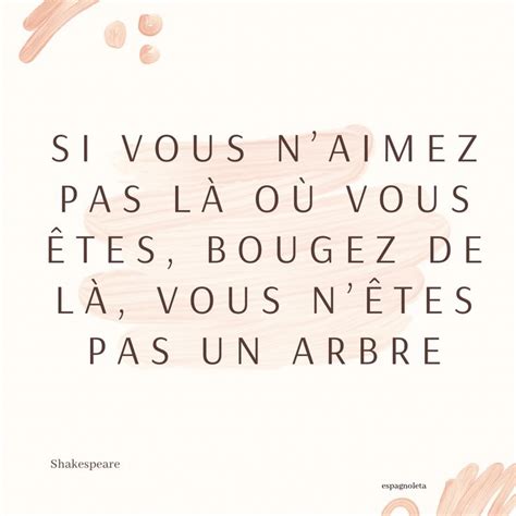 Citation Positive Dictons Et Citations Citation Proverbes Et Citations