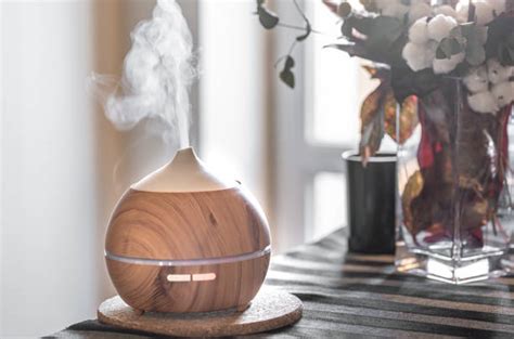 Warm Mist Vs Cool Mist Humidifier Which Is Better