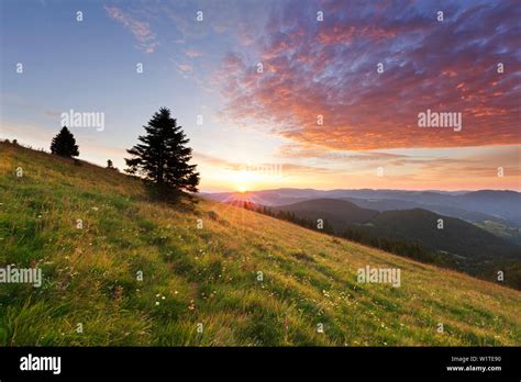 Morning Mood At Belchen Black Forest Baden Wuerttemberg Germany