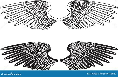 Black And White Wings Royalty Free Stock Photos Image 6196758