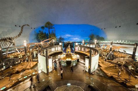 Katsuyama dinosaur museum, Japan