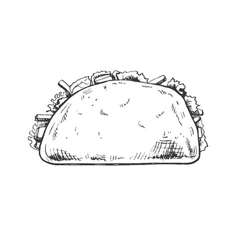 Esbo O Desenhado M O De Taco Em Fundo Branco Ilustra O Vintage De