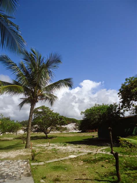 Dunas De Salvador PARQUE DAS DUNAS SALVADOR BAHIA