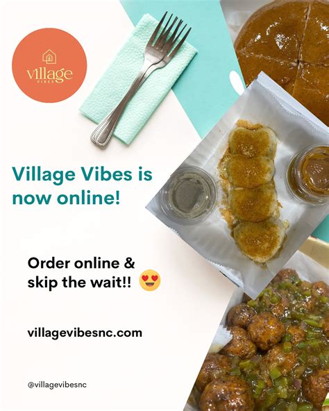 village vibes indian food truck 3