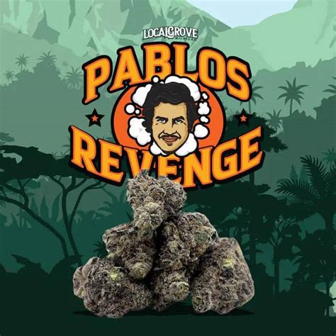 Pablos Revenge Strain Delta 8 Cannabis