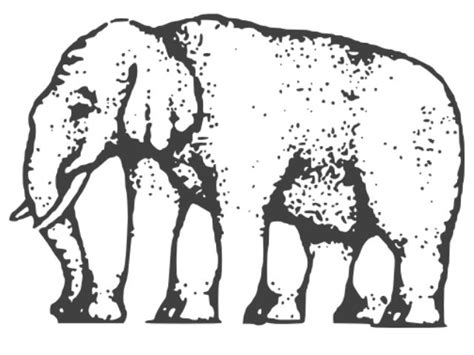 Optical Illusion How Many Legs Does The Elephant Have Shephard