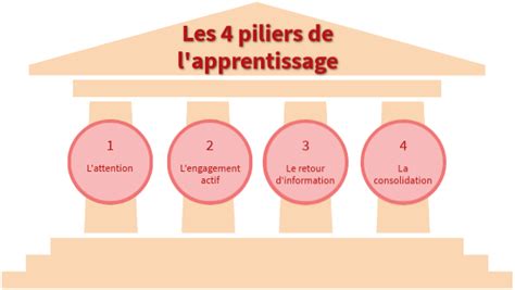 Les 4 Piliers De L Apprentissage