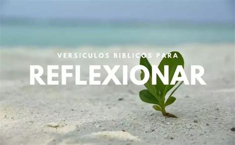 Vers Culos Para Reflexionar Y Meditar La Palabra De Dios