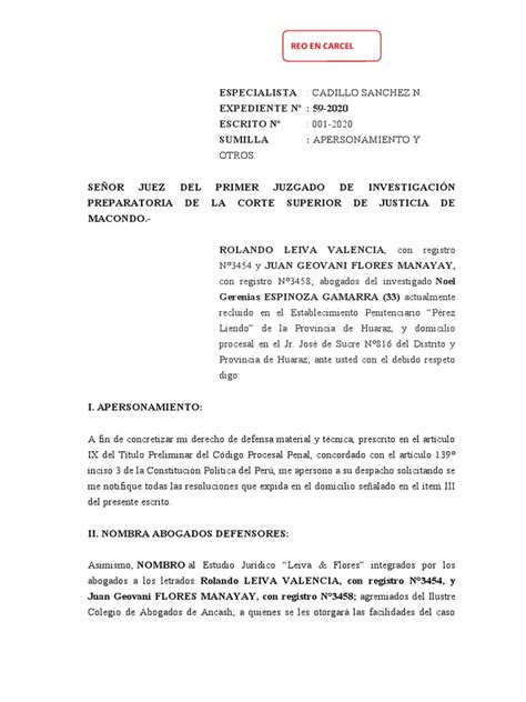 Tutela De Derechos Para Imprimir Pdf Derecho Penal Caso De Ley