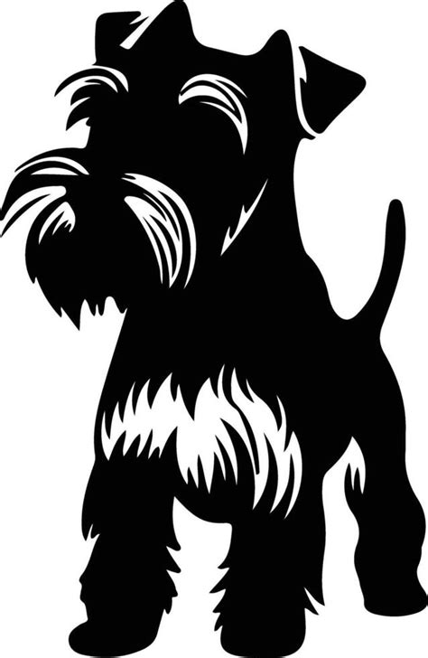 Miniature Schnauzer Black Silhouette 38486525 Vector Art At Vecteezy