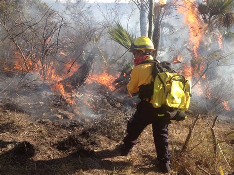 Mujeres Del Fuego Comisión Nacional Forestal Gobierno Gobmx