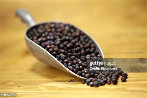 Juniper Berries Gin Photos and Premium High Res Pictures - Getty Images