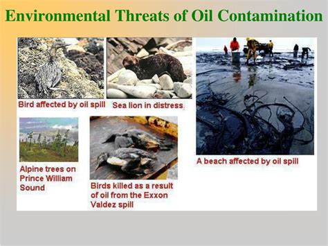 PPT - Impact of Environmental Dimensions on Oil Industry PowerPoint ...