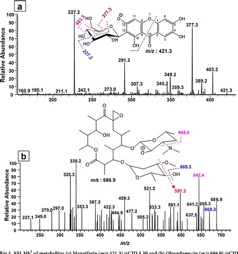 Figure 4 From Agonistic Antibacterial Potential Of Loigolactobacillus