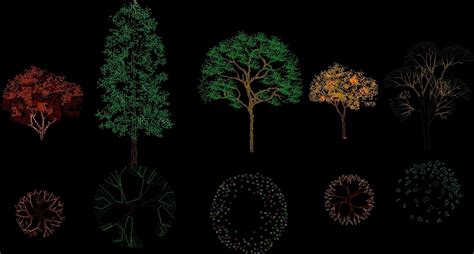 Tree Elevation And Aereal View With Colors 2d Dwg Elevation For