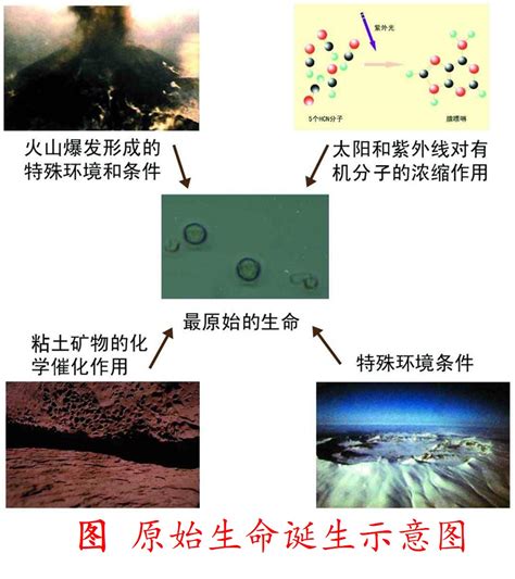 科学网—生命起源之化学起源说 王从彦的博文