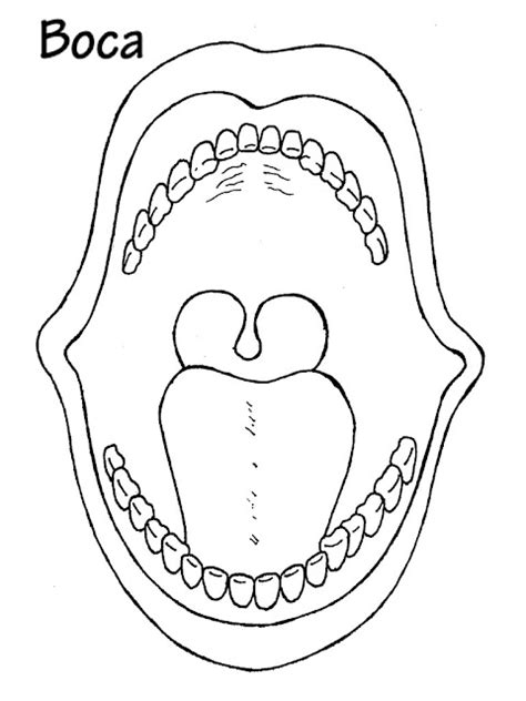 Dibujos De Bocas Para Colorear