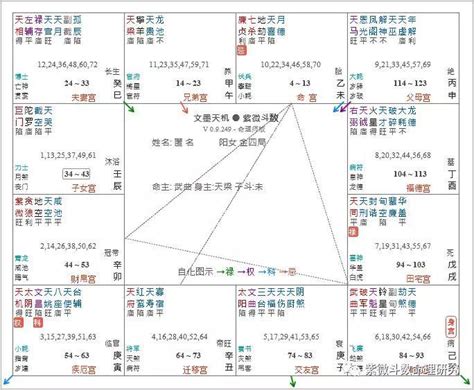 紫微斗数全书 太微赋 七杀廉贞同位，路上埋尸。破军暗曜同乡，水中作冢 搜狐大视野 搜狐新闻