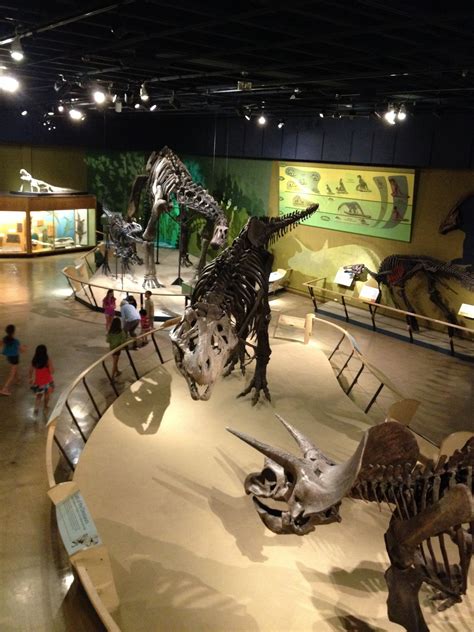 Cleveland Museum of Natural History #dinosaur exhibits | Animales ...