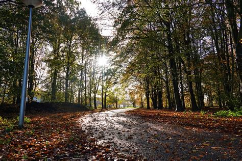 Goes Door Arjan Van Lomwel Goes Herfstkleuren Omroep Zeeland Flickr