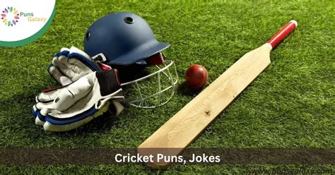 150 Funny Cricket Puns Jokes And One Liners