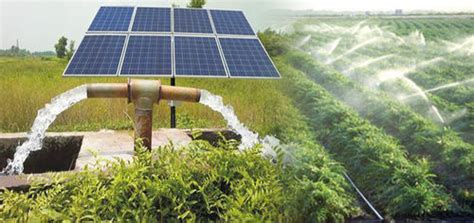 Solar Agriculture Pump Set At 10500000 Inr In Hisar Achariya