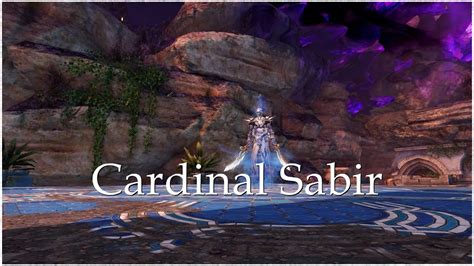 Guild Wars Raid Wing The Key Of Ahdashim Cardinal Sabir