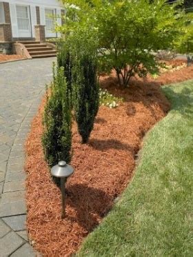 11 best images about Pine Straw Mulch on Pinterest | Landscapes, Larger and Backyards