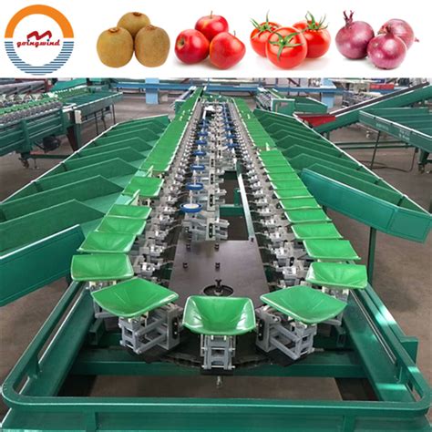 Automatic fruit and vegetable weight sorting grading machine apple ...