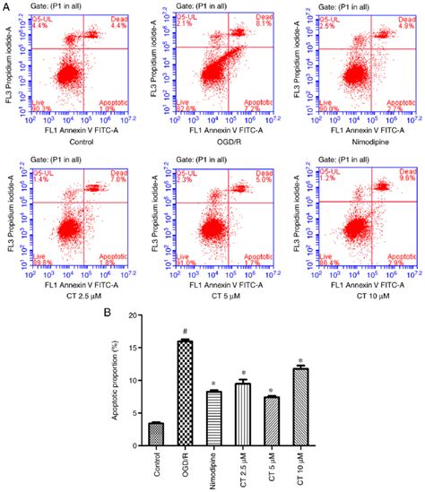 Effect Of Ct On The Apoptotic Rate Following Ogdr In Pc12 Cells A