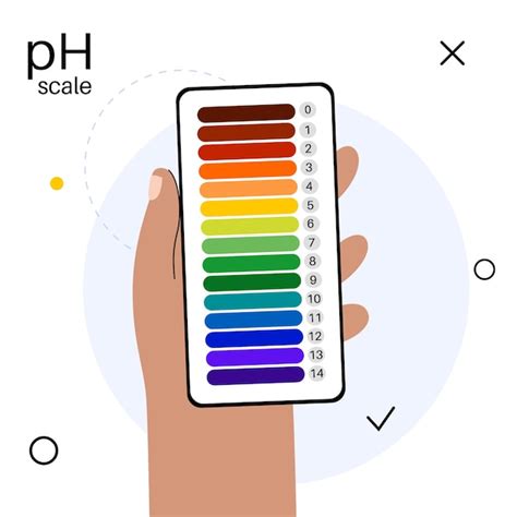 Premium Vector PH Scale Diagram