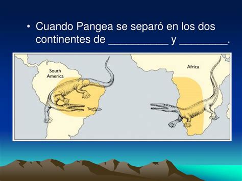 Ppt Tectónica De Placas Las Placas De La Tierra Y La Deriva Continental Powerpoint