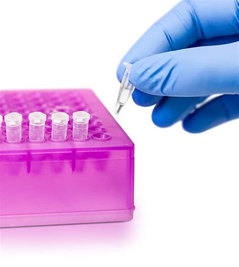 Genoplastbiotech.com - Profesjonalne Plastiki Laboratoryjne