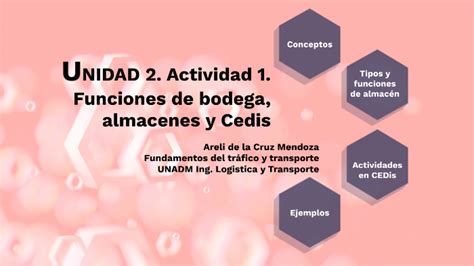 Unidad Actividad Funciones De Bodega Almacenes Y Cedis By Areli