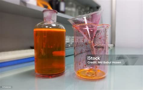 Hematoxylin And Eosin Staining Working Eosin Stain Solution Stock Photo ...