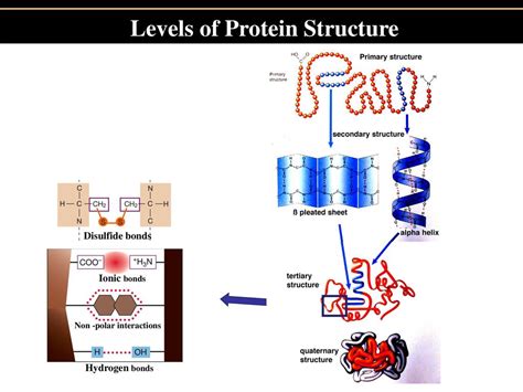 The Chemistry of Life v Elements and the Periodic Table - ppt download