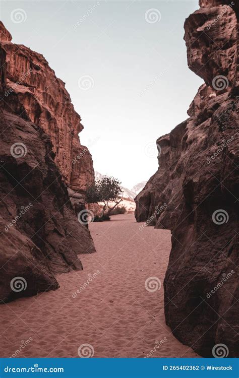 Rocky Hill In Wadi Rum Jordan Stock Photo Image Of Travel Wadi