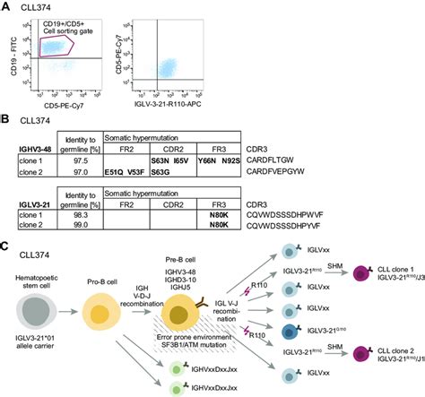 Clonal Evolution In Patient Cll A Exemplary Flow Cytometric Image