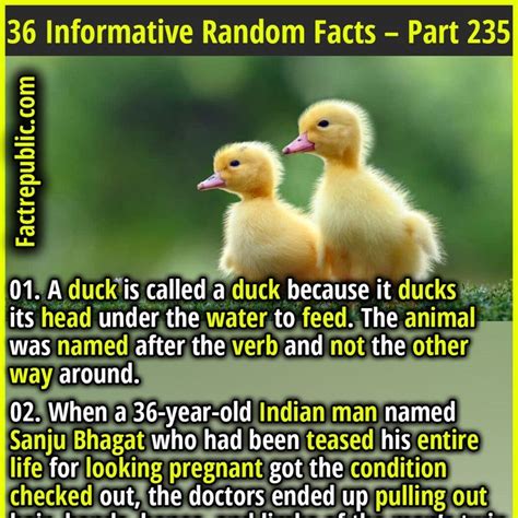 36 Informative Random Facts You Havent Heard A Million Times Part