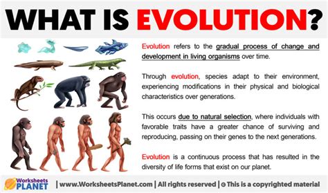 What Is Evolution Definition Of Evolution